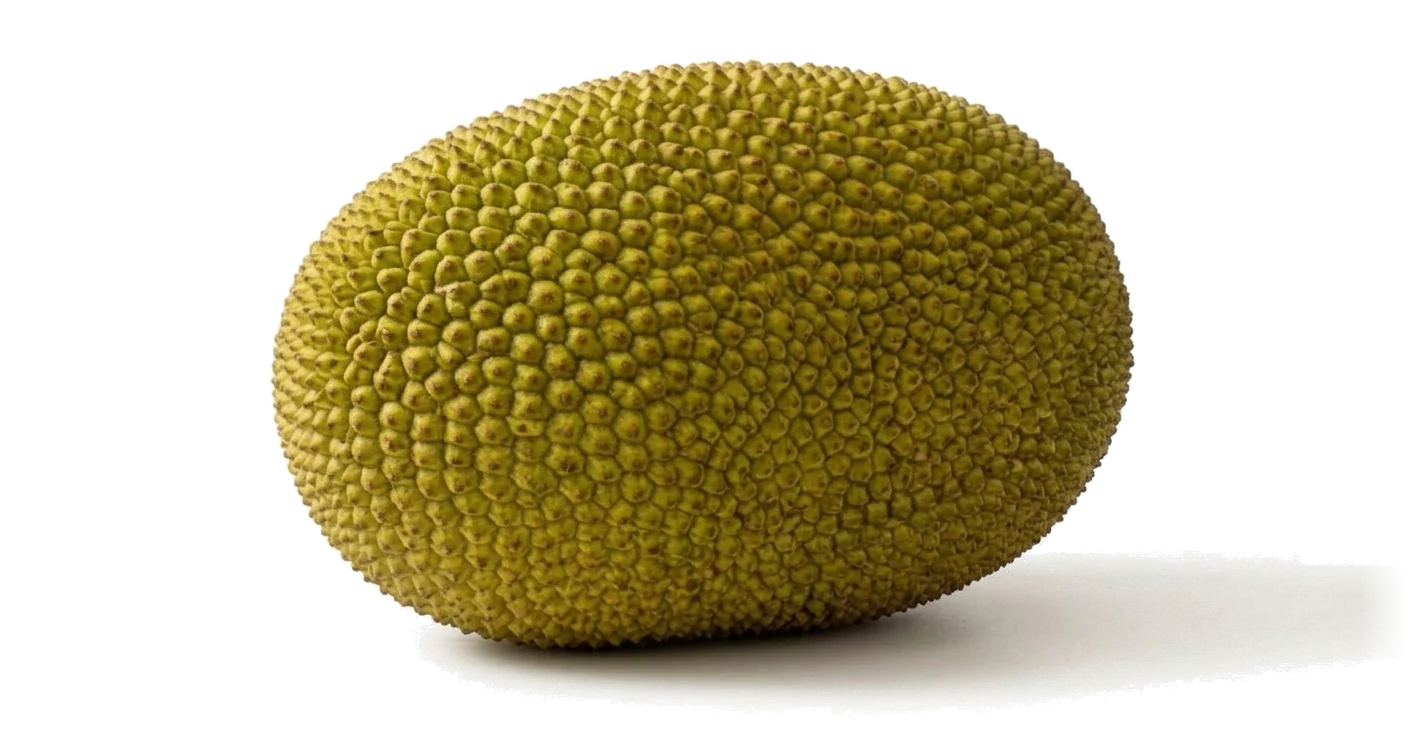 A whole jackfruit, closed.